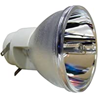 Los mejores  - Bombilla de repuesto Osram P-VIP 190-0.8 E20.8